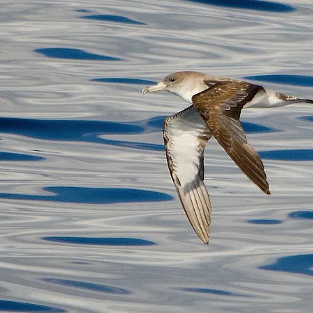 Dulce Nombre - מלון 3*